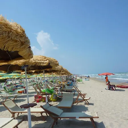 Cavalluccio Marino I2 Silvi Vacanza Silvi Marina