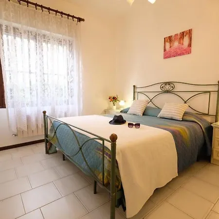 Cavalluccio Marino I2 Silvi Vacanza